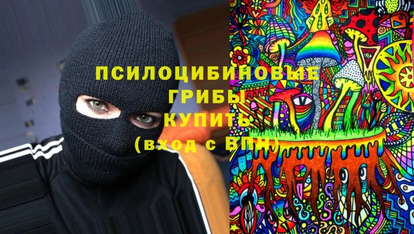 прущие крисы Краснотурьинск