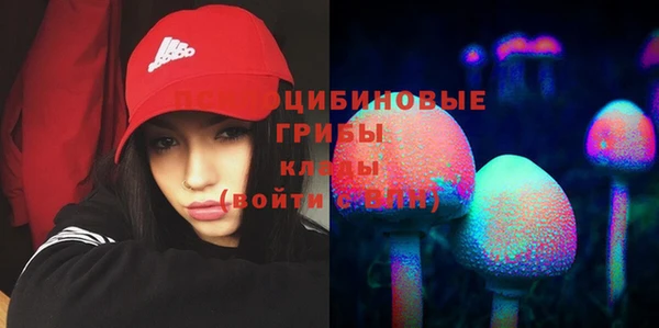 прущие крисы Краснотурьинск
