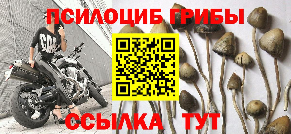Галлюциногенные грибы ЛСД Комсомольск-на-Амуре